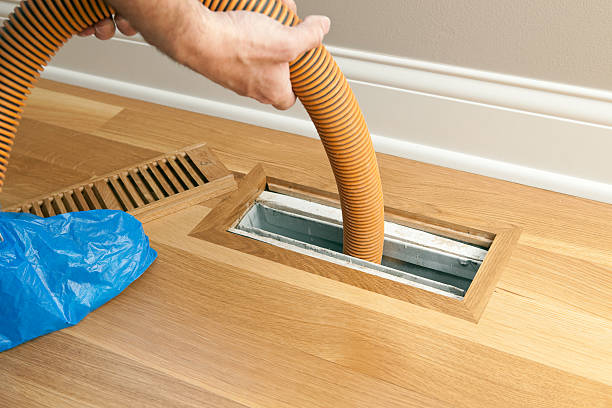 Best Air Duct Mold Removal  in Crystal Lake, FL