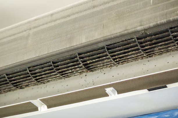 Best Local Air Duct Cleaning Services  in Crystal Lake, FL